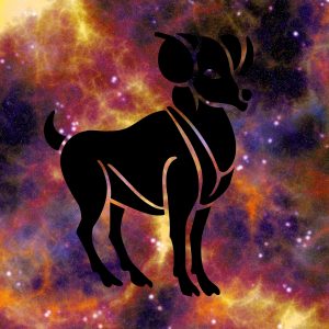 Ram Picture